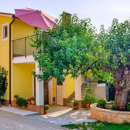 Studio Apartment Gianni Vižinada المظهر الخارجي الصورة