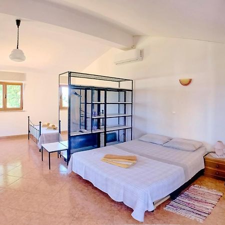 Studio Apartment Gianni Vižinada المظهر الخارجي الصورة