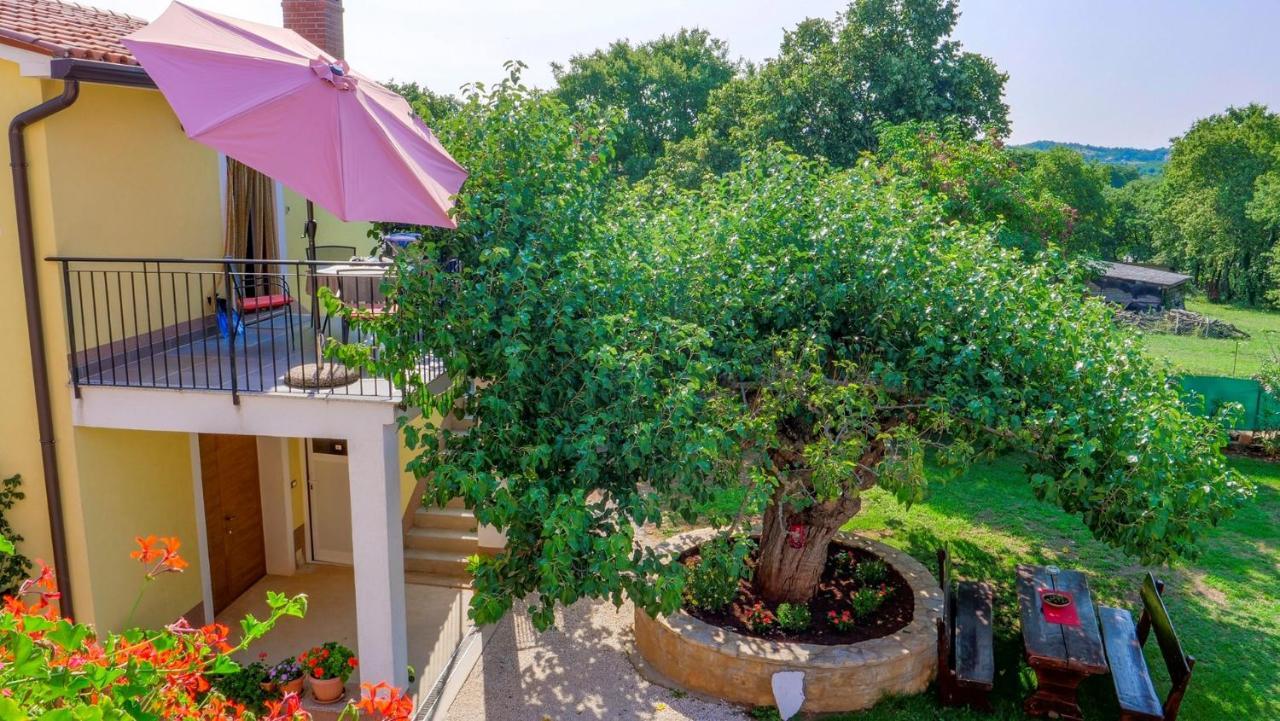 Studio Apartment Gianni Vižinada المظهر الخارجي الصورة
