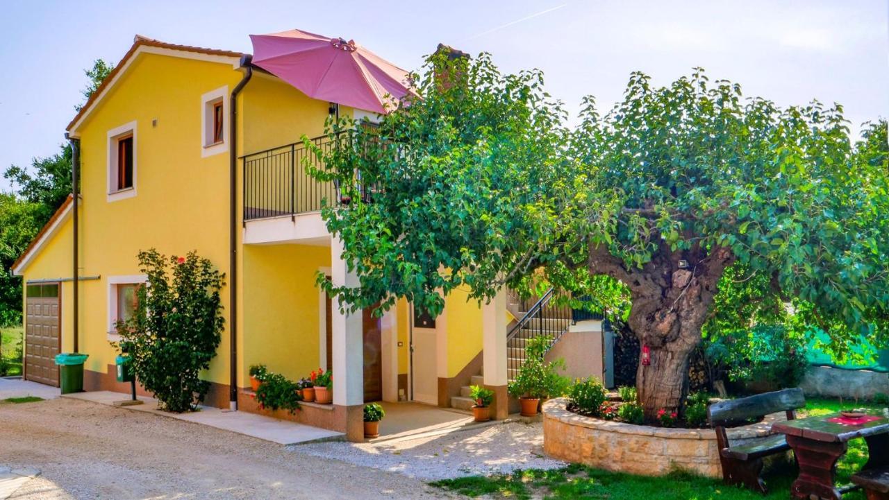 Studio Apartment Gianni Vižinada المظهر الخارجي الصورة