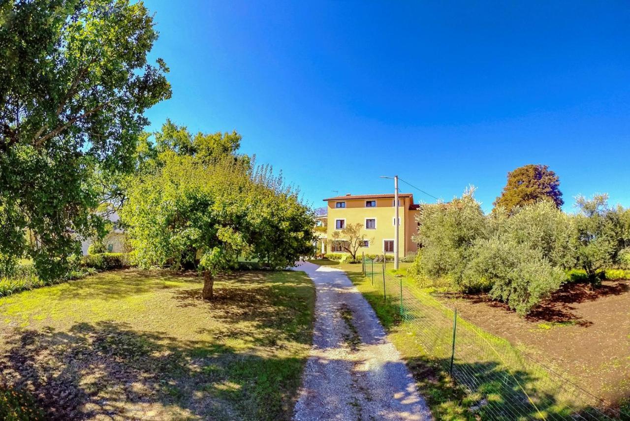 Studio Apartment Gianni Vižinada المظهر الخارجي الصورة