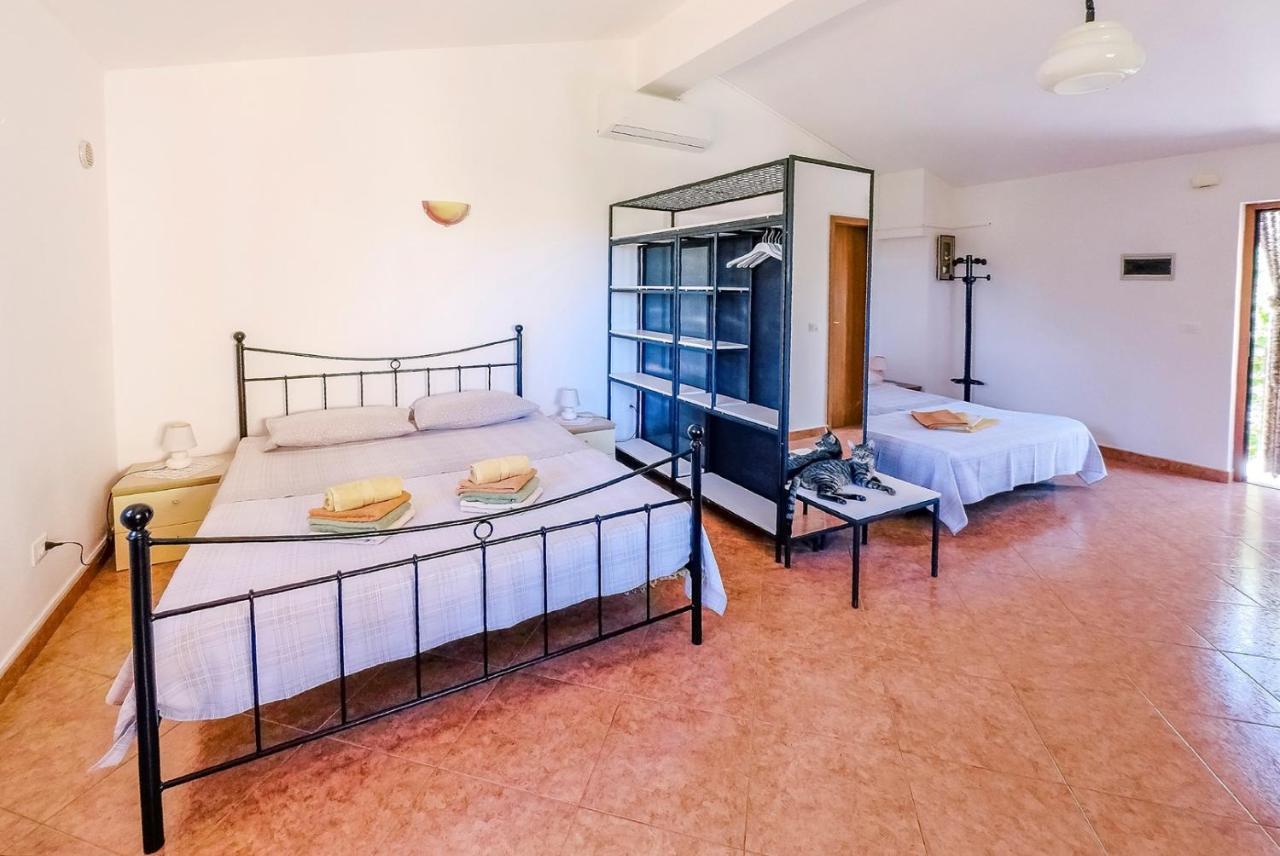 Studio Apartment Gianni Vižinada المظهر الخارجي الصورة