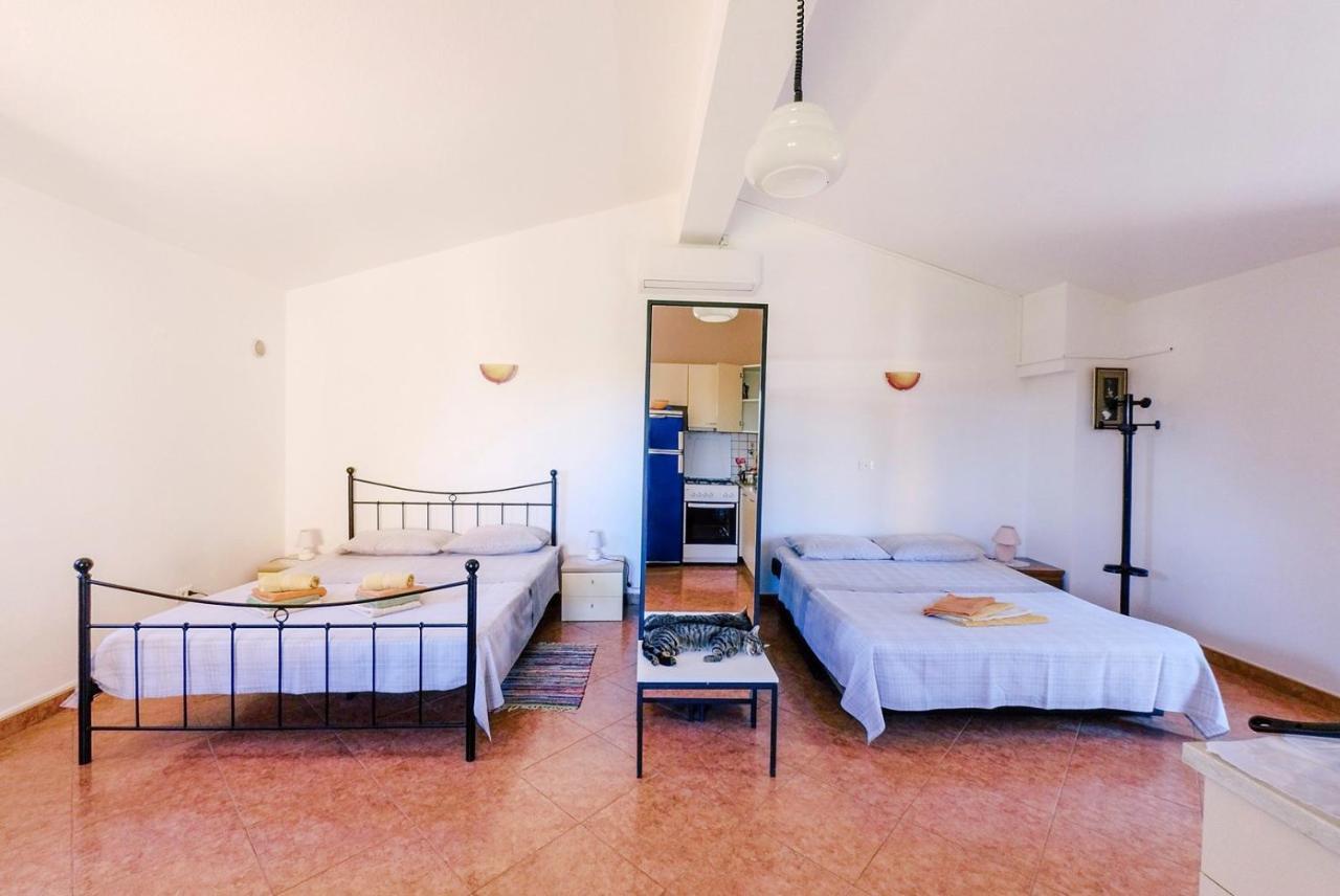 Studio Apartment Gianni Vižinada المظهر الخارجي الصورة
